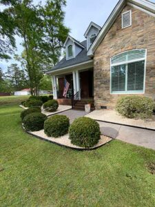 A well-manicured lawn